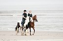 BUITEN BEELD Foto: 90700