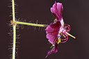 BUITEN BEELD Foto: 90829