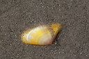 BUITEN BEELD Foto: 90915