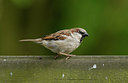 BUITEN BEELD Foto: 90960