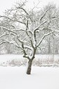 BUITEN BEELD Foto: 91027