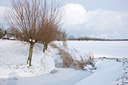 BUITEN BEELD Foto: 91037