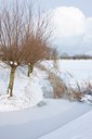 BUITEN BEELD Foto: 91038