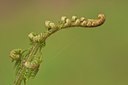 BUITEN BEELD Foto: 91056