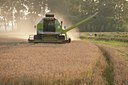 BUITEN BEELD Foto: 91062