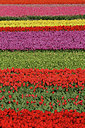 BUITEN BEELD Foto: 91088