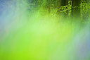 BUITEN BEELD Foto: 91171