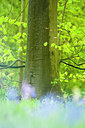 BUITEN BEELD Foto: 91177