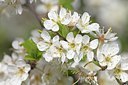 BUITEN BEELD Foto: 91358