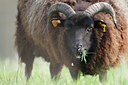 BUITEN BEELD Foto: 91361