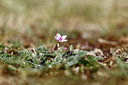 BUITEN BEELD Foto: 91437