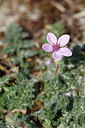 BUITEN BEELD Foto: 91439