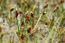 BUITEN BEELD Foto: 91459