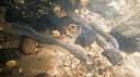 BUITEN BEELD Foto: 91496