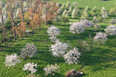 BUITEN BEELD Foto: 91497