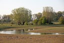 BUITEN BEELD Foto: 91536