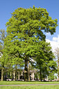 BUITEN BEELD Foto: 91558