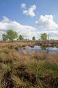 BUITEN BEELD Foto: 91559