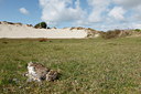 BUITEN BEELD Foto: 91571