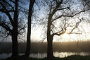 BUITEN BEELD Foto: 91605