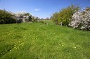 BUITEN BEELD Foto: 91658