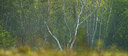 BUITEN BEELD Foto: 91693