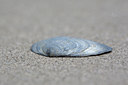 BUITEN BEELD Foto: 91762