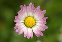 BUITEN BEELD Foto: 91782