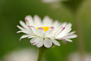 BUITEN BEELD Foto: 91783
