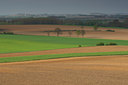 BUITEN BEELD Foto: 91819