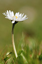 BUITEN BEELD Foto: 91879