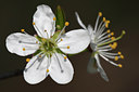 BUITEN BEELD Foto: 91887