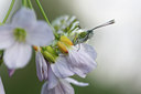 BUITEN BEELD Foto: 91915