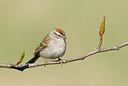 BUITEN BEELD Foto: 91977