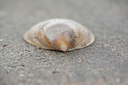 BUITEN BEELD Foto: 92052
