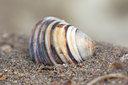 BUITEN BEELD Foto: 92055
