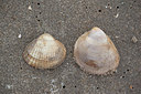 BUITEN BEELD Foto: 92056