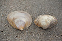 BUITEN BEELD Foto: 92059