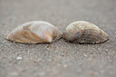 BUITEN BEELD Foto: 92062
