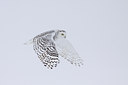 BUITEN BEELD Foto: 92107