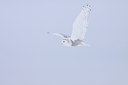 BUITEN BEELD Foto: 92110
