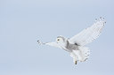 BUITEN BEELD Foto: 92123