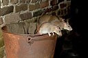 BUITEN BEELD Foto: 92174