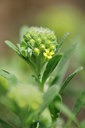 BUITEN BEELD Foto: 92276