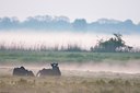 BUITEN BEELD Foto: 92364