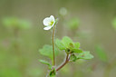 BUITEN BEELD Foto: 92368