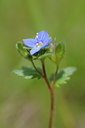 BUITEN BEELD Foto: 92434