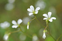 BUITEN BEELD Foto: 92451