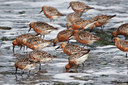 BUITEN BEELD Foto: 92467