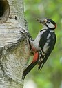 BUITEN BEELD Foto: 92503